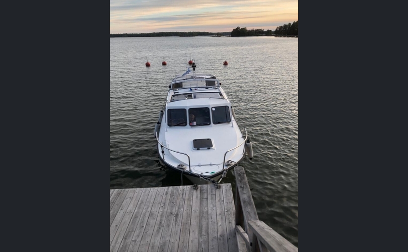 Albatross Flying 870-kuva-1